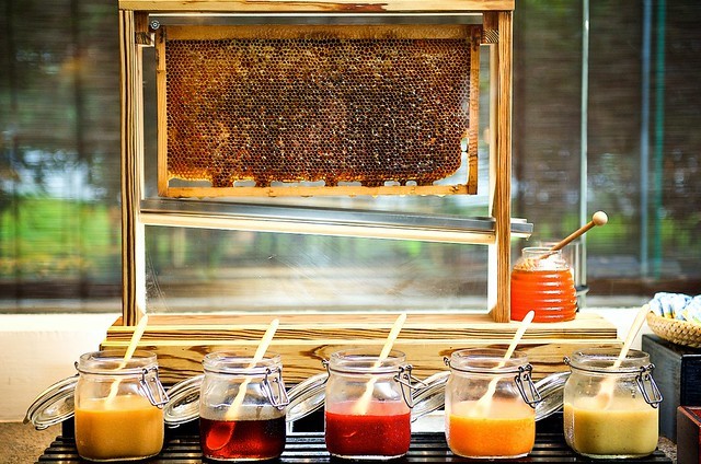 62537213_10157284440448996_6393642892698583040_o