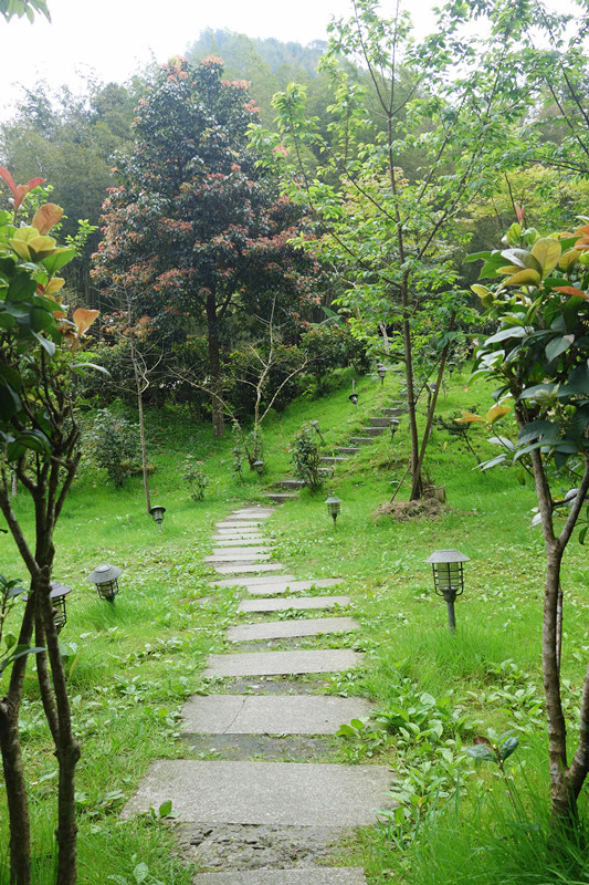 DSC08497_副本 DSC08497_副本