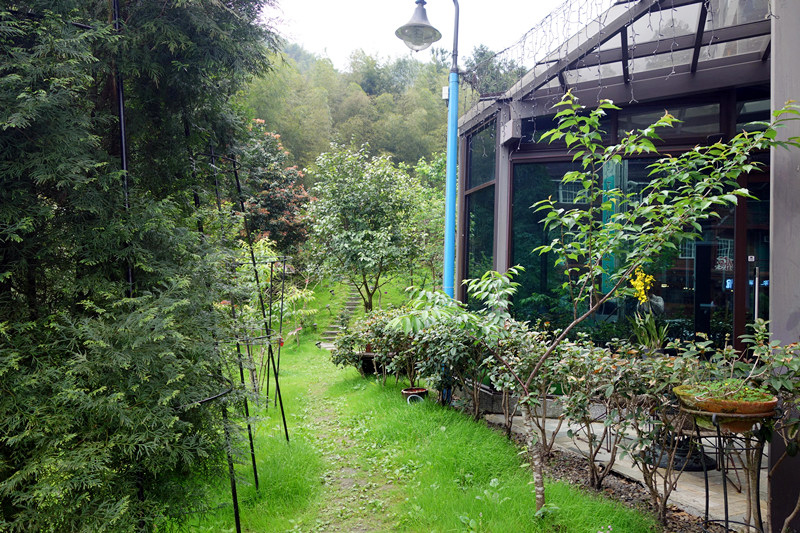 DSC08483_副本 DSC08483_副本