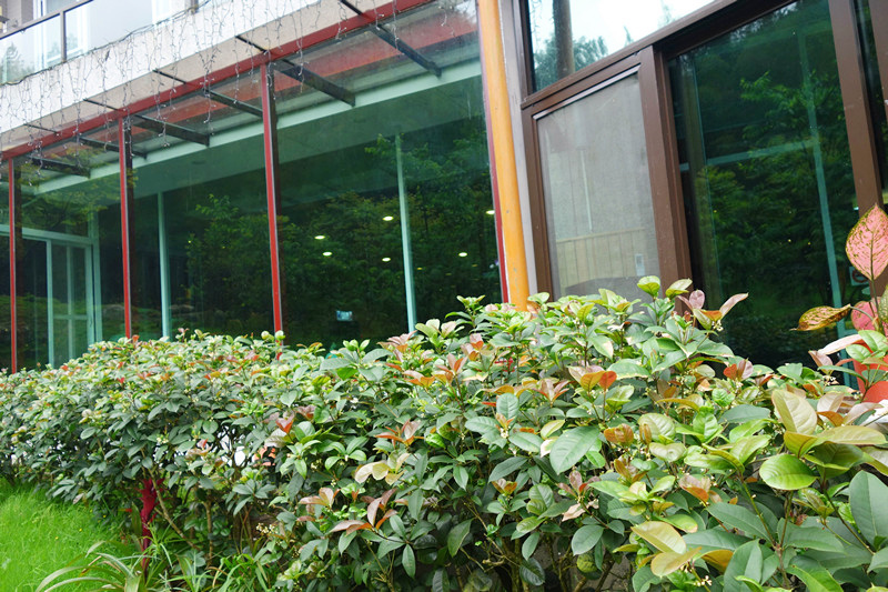 DSC08500_副本 DSC08500_副本