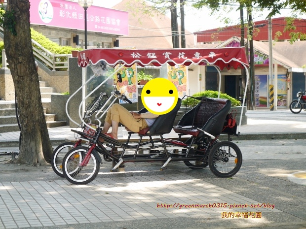 P8740032 (620x465).jpg