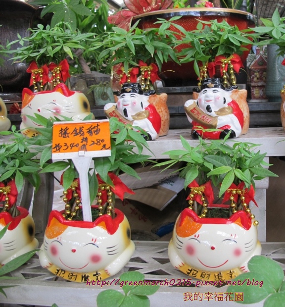 IMG_1987 (576x620).jpg