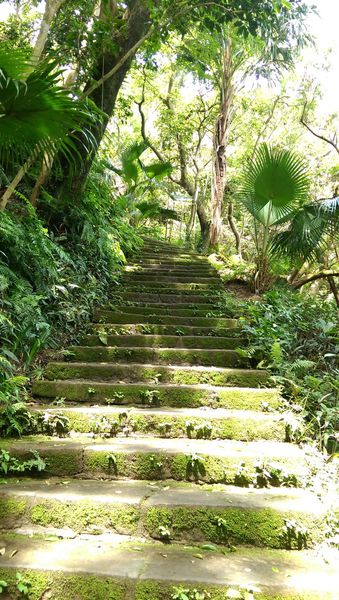 IMAG2121.jpg IMAG2121.jpg