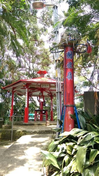 IMAG2171.jpg IMAG2171.jpg