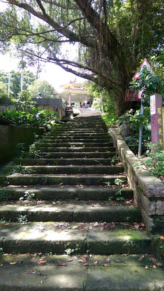 IMAG2109.jpg IMAG2109.jpg