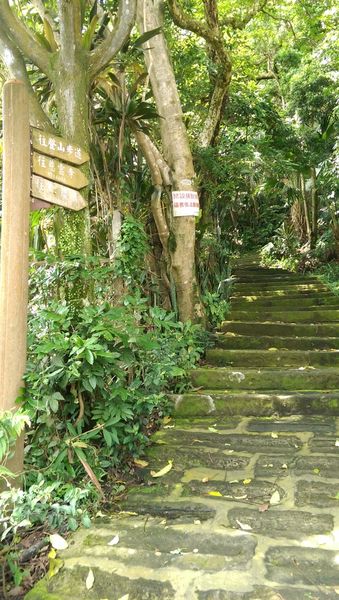 IMAG2119.jpg IMAG2119.jpg