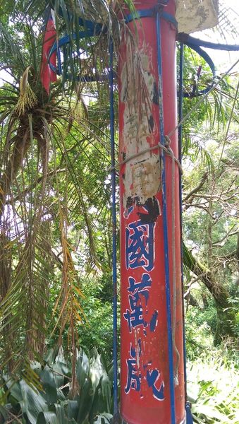 IMAG2177.jpg IMAG2177.jpg