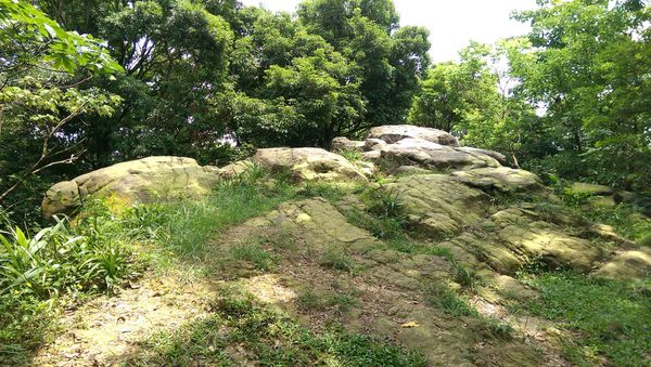 IMAG2186.jpg IMAG2186.jpg