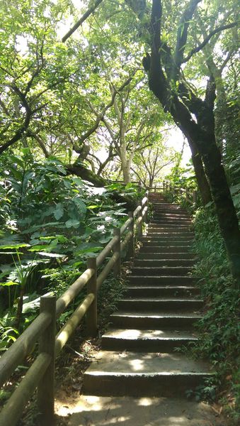 IMAG2139.jpg IMAG2139.jpg