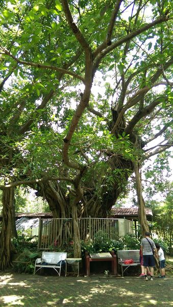 IMAG2158.jpg IMAG2158.jpg