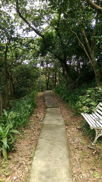 IMAG2191.jpg IMAG2191.jpg