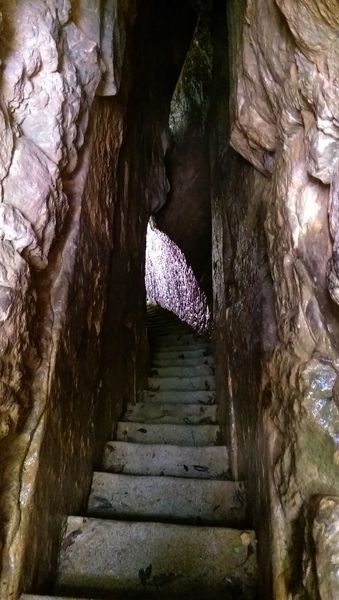 IMAG2131.jpg IMAG2131.jpg