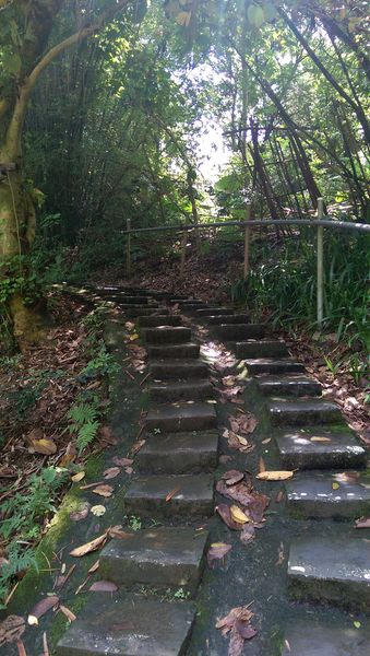 IMAG2138.jpg IMAG2138.jpg