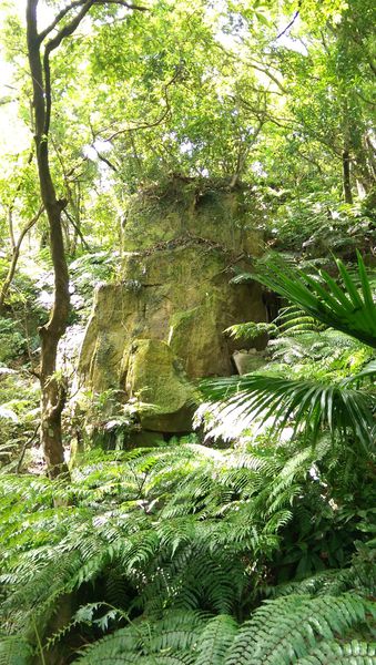 IMAG2120.jpg IMAG2120.jpg