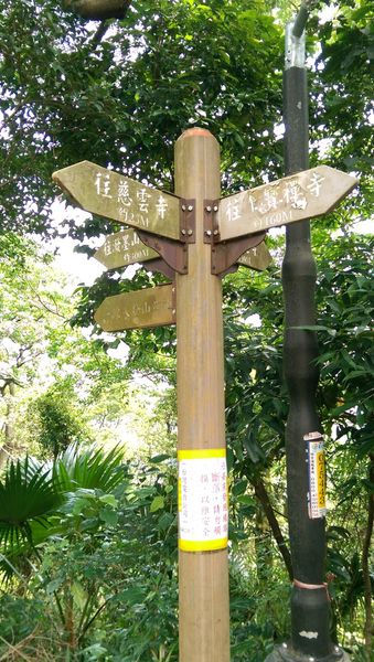 IMAG2122.jpg IMAG2122.jpg