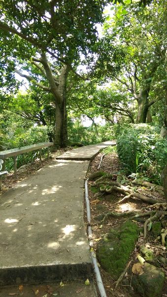 IMAG2179.jpg IMAG2179.jpg