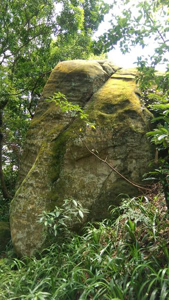 IMAG2189.jpg IMAG2189.jpg