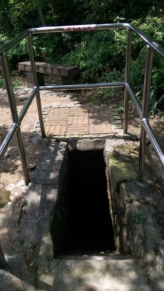 IMAG2129.jpg IMAG2129.jpg