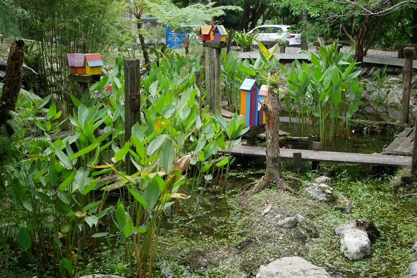 P1500647.JPG P1500647.JPG