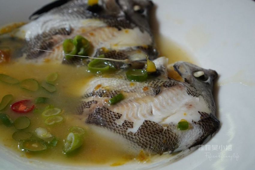 宜蘭頭城藏酒酒莊 宜蘭頭城藏酒酒莊