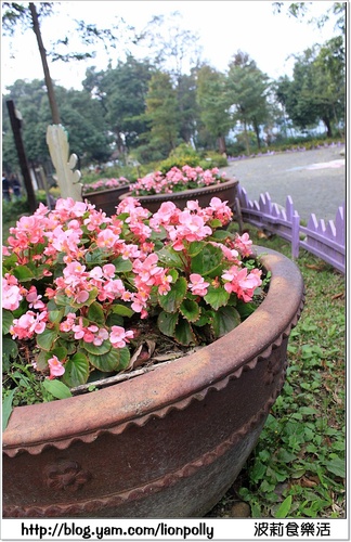 *童樂趣-河岸森林(福氣又安康偶像劇拍攝點)