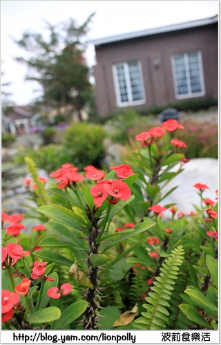 *童樂趣-河岸森林(福氣又安康偶像劇拍攝點)