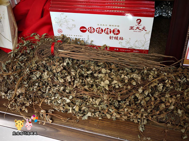 【金門一條根】王大夫一條根文化館