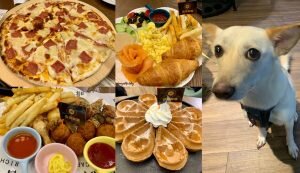 水硯茶屋 │烏來美食•璞石麗緻溫泉會館享受Chill下午茶～