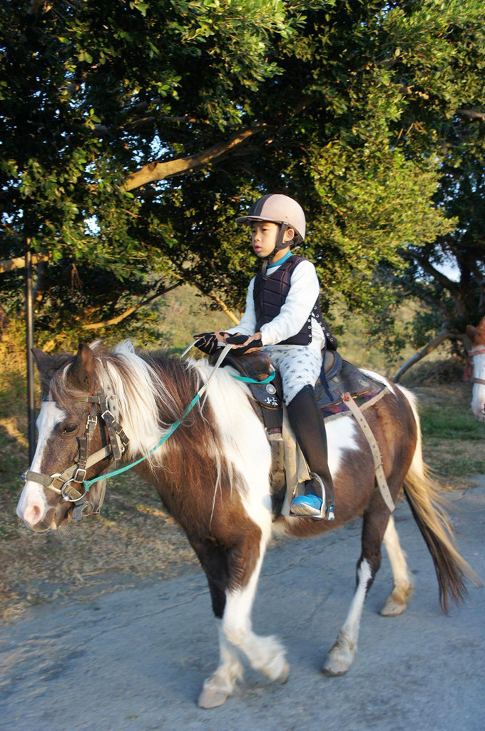 25542620_1970184796331939_6866834581483429494_o