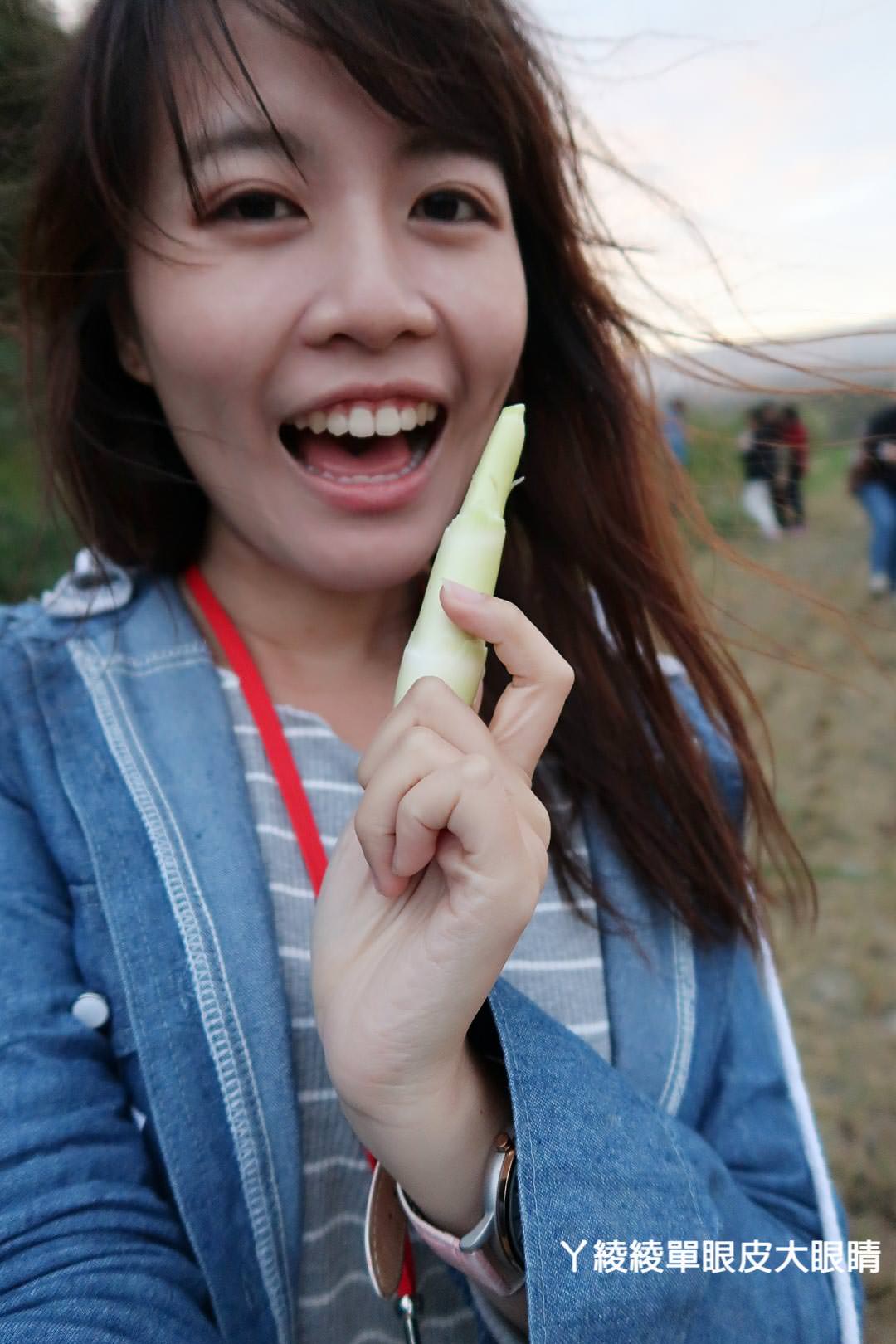 農純鄉魚米之鄉探訪真實之旅｜嘉義東石福爾摩沙養殖場、台中后里五崁腳有機田園、雲林古坑蜜蜂故事館