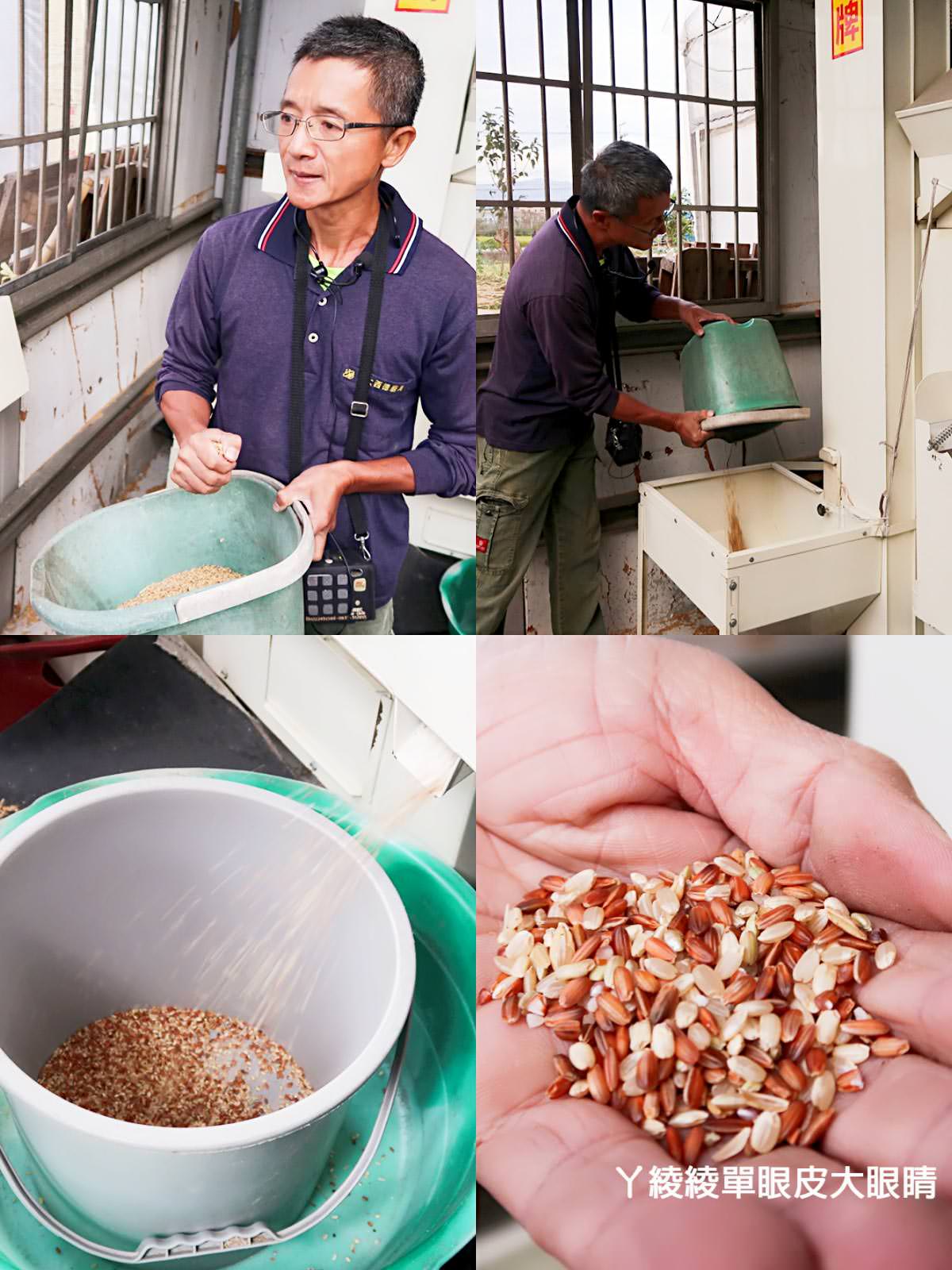 農純鄉魚米之鄉探訪真實之旅｜嘉義東石福爾摩沙養殖場、台中后里五崁腳有機田園、雲林古坑蜜蜂故事館