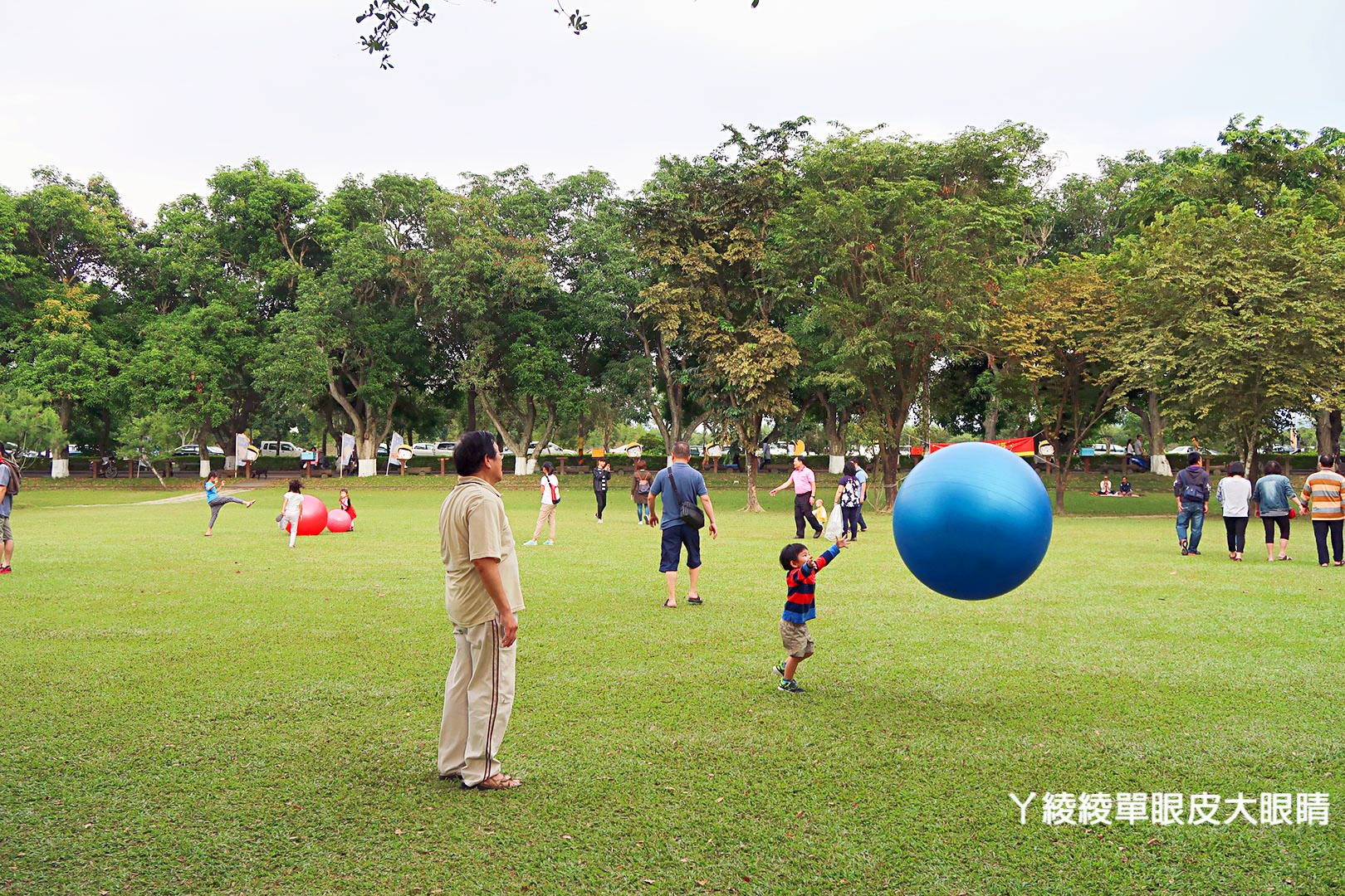 農純鄉魚米之鄉探訪真實之旅|嘉義東石福爾摩沙養殖場、台中后里五崁腳有機田園、雲林古坑蜜蜂故事館