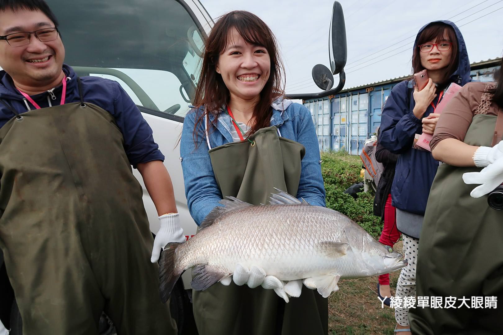 農純鄉魚米之鄉探訪真實之旅｜嘉義東石福爾摩沙養殖場、台中后里五崁腳有機田園、雲林古坑蜜蜂故事館
