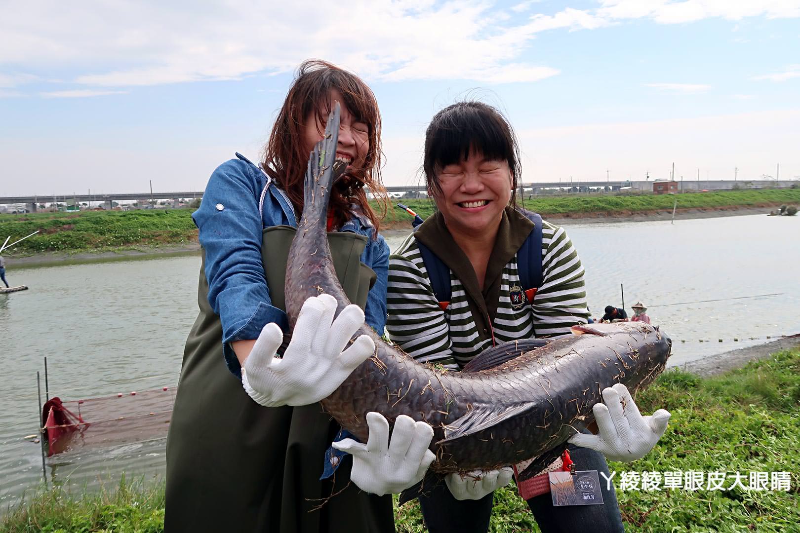 農純鄉魚米之鄉探訪真實之旅｜嘉義東石福爾摩沙養殖場、台中后里五崁腳有機田園、雲林古坑蜜蜂故事館