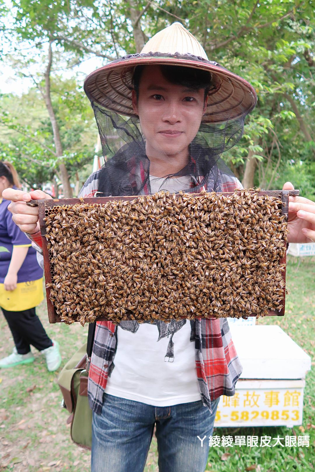 農純鄉魚米之鄉探訪真實之旅｜嘉義東石福爾摩沙養殖場、台中后里五崁腳有機田園、雲林古坑蜜蜂故事館