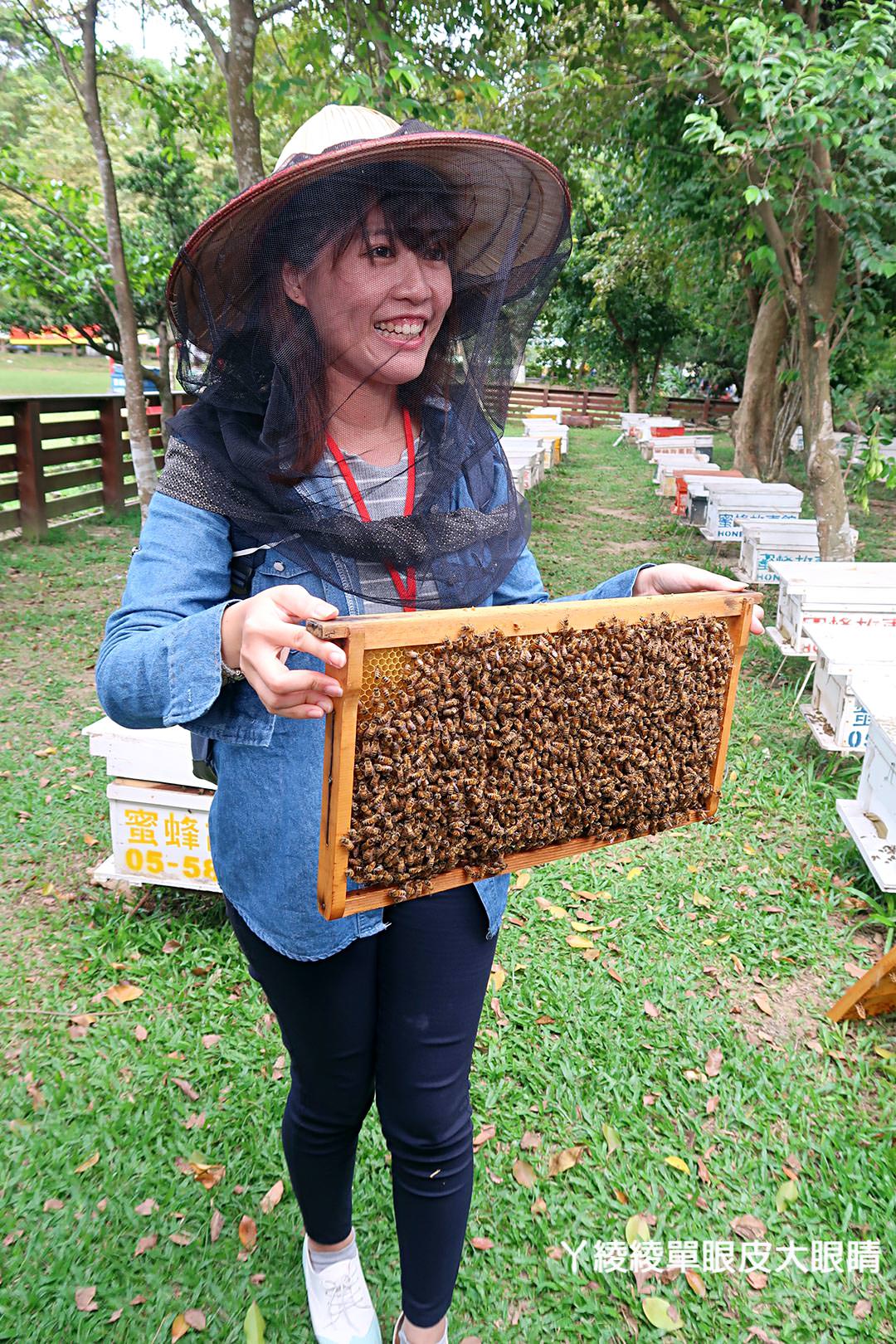 農純鄉魚米之鄉探訪真實之旅｜嘉義東石福爾摩沙養殖場、台中后里五崁腳有機田園、雲林古坑蜜蜂故事館