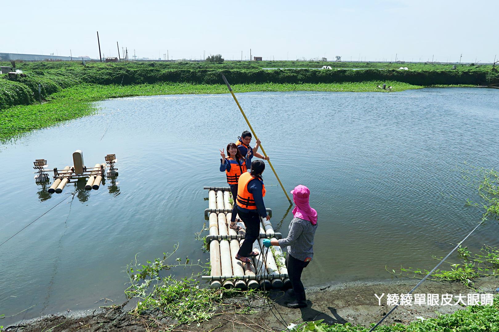 農純鄉魚米之鄉探訪真實之旅|嘉義東石福爾摩沙養殖場、台中后里五崁腳有機田園、雲林古坑蜜蜂故事館