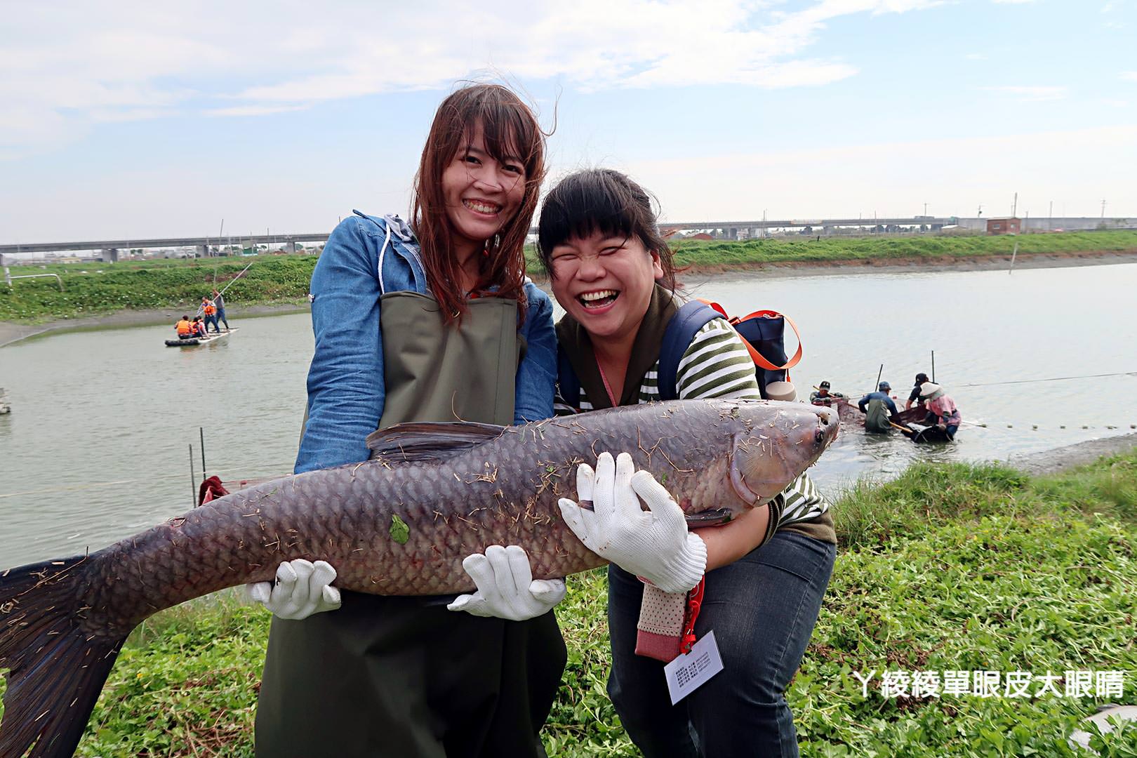 農純鄉魚米之鄉探訪真實之旅｜嘉義東石福爾摩沙養殖場、台中后里五崁腳有機田園、雲林古坑蜜蜂故事館