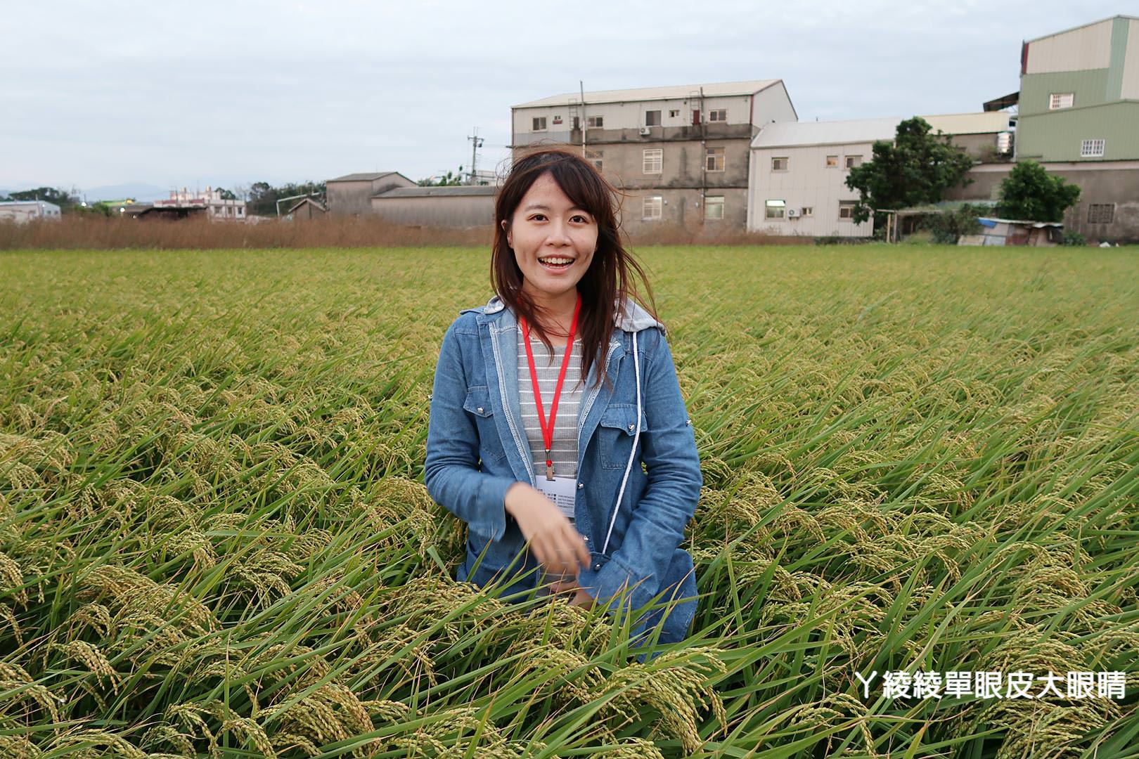 農純鄉魚米之鄉探訪真實之旅｜嘉義東石福爾摩沙養殖場、台中后里五崁腳有機田園、雲林古坑蜜蜂故事館