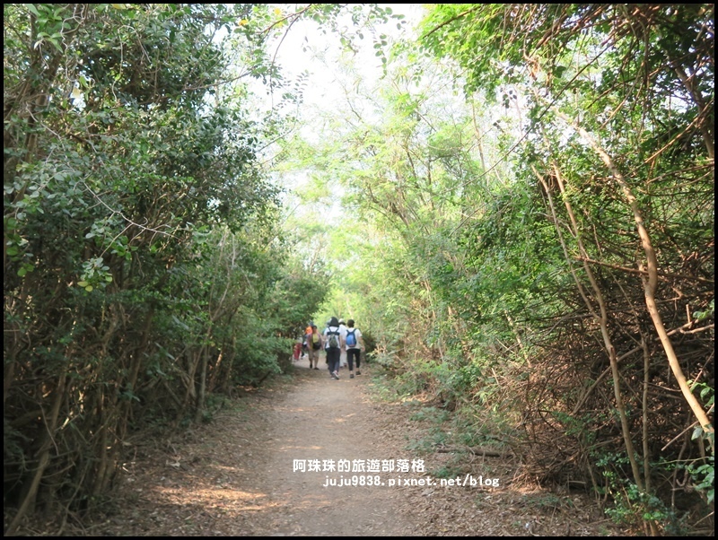 龜山步道29.JPG