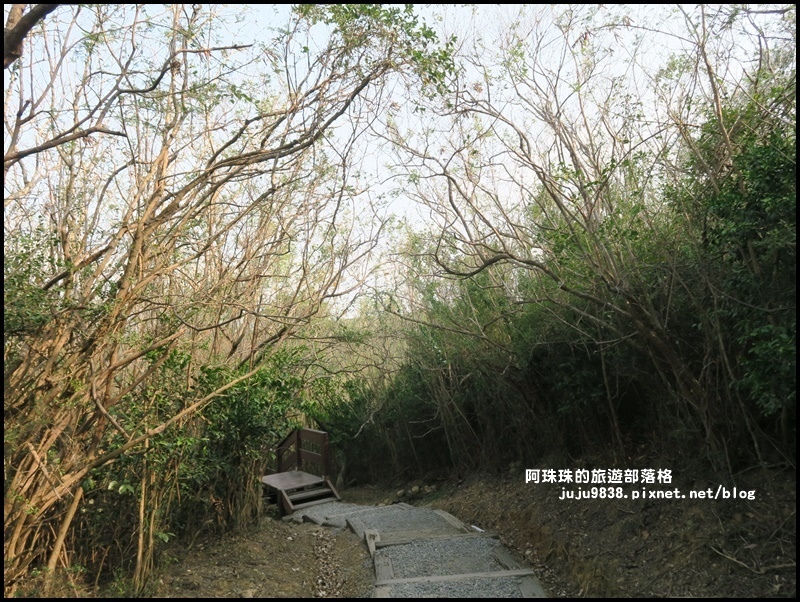 龜山步道37.JPG