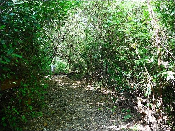 龜山步道-18.jpg