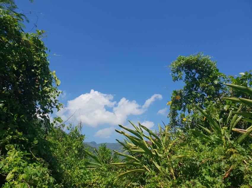 312886.jpg - 【花蓮.豐濱】大石鼻山|龜庵山步道。簡易型15分鐘爬山行程360度無死角超美海景