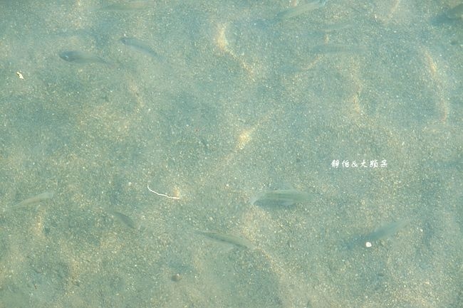 DSC06219_副本.jpg