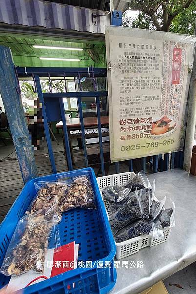 【桃園/復興】羅馬公路