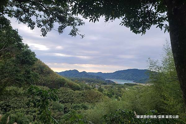 【桃園/復興】羅馬公路