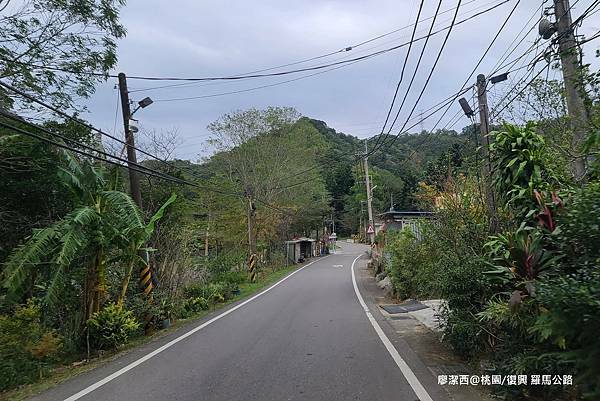 【桃園/復興】羅馬公路