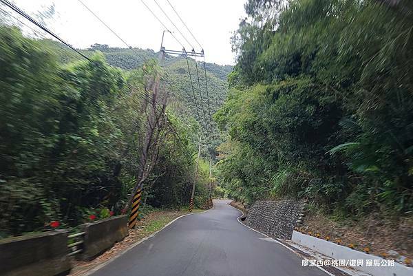 【桃園/復興】羅馬公路