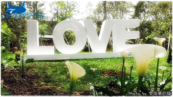 0511a16.JPG 0511a16.JPG