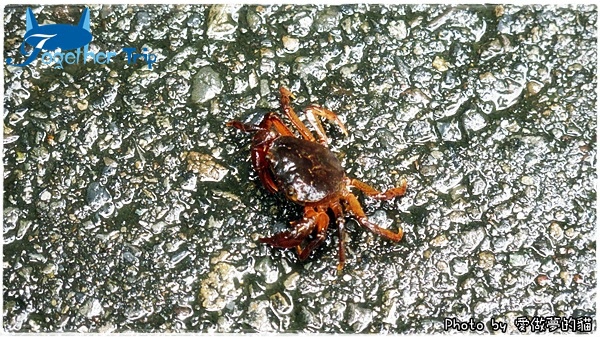 0511a32.JPG 0511a32.JPG